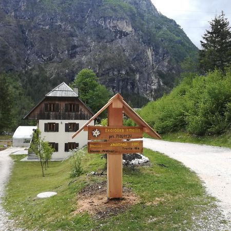 Apartament Organic Tourist Farm Pri Plajerju Trenta Zewnętrze zdjęcie