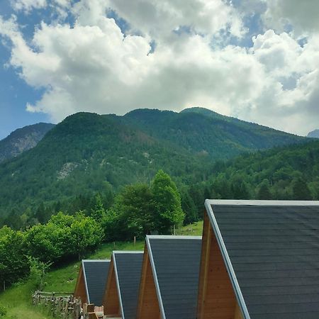 Apartament Organic Tourist Farm Pri Plajerju Trenta Zewnętrze zdjęcie