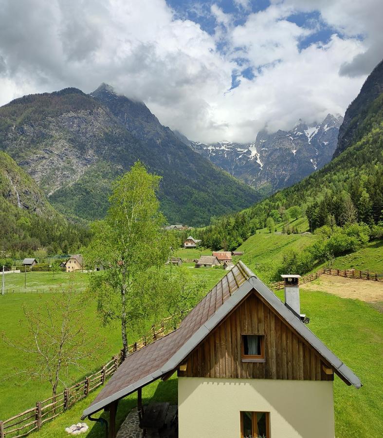 Apartament Organic Tourist Farm Pri Plajerju Trenta Zewnętrze zdjęcie