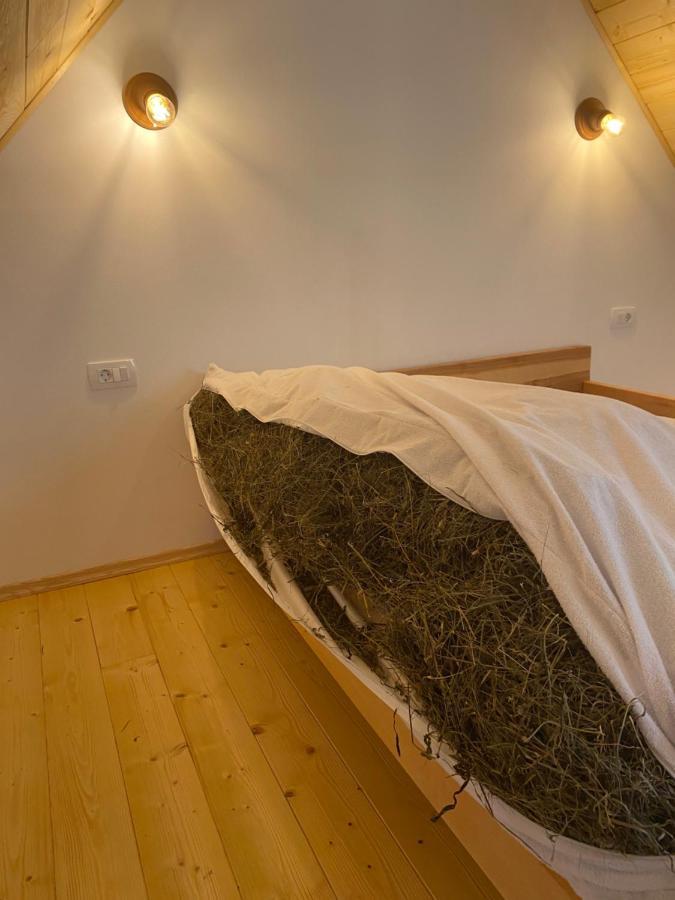 Apartament Organic Tourist Farm Pri Plajerju Trenta Zewnętrze zdjęcie