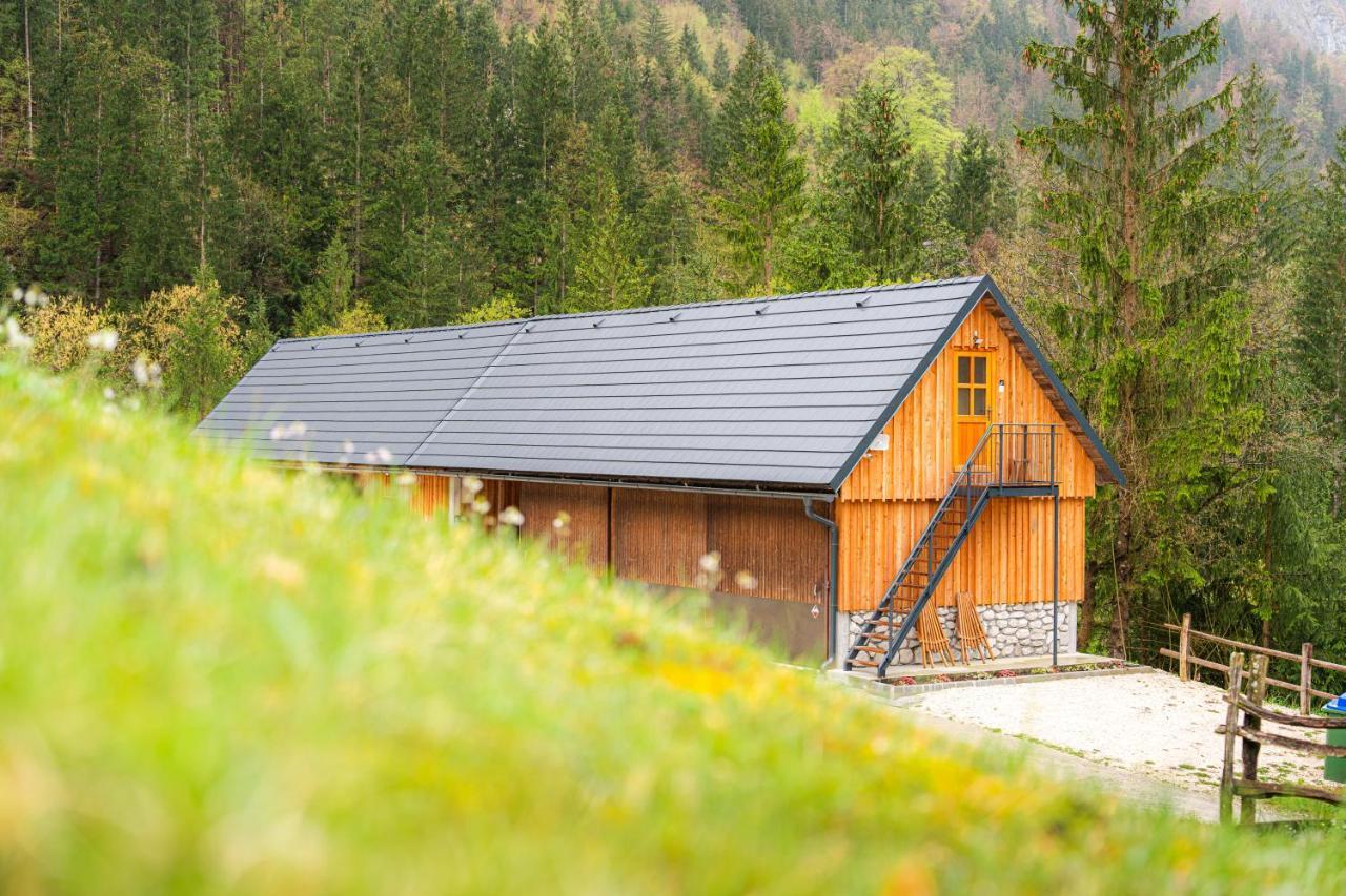 Apartament Organic Tourist Farm Pri Plajerju Trenta Zewnętrze zdjęcie