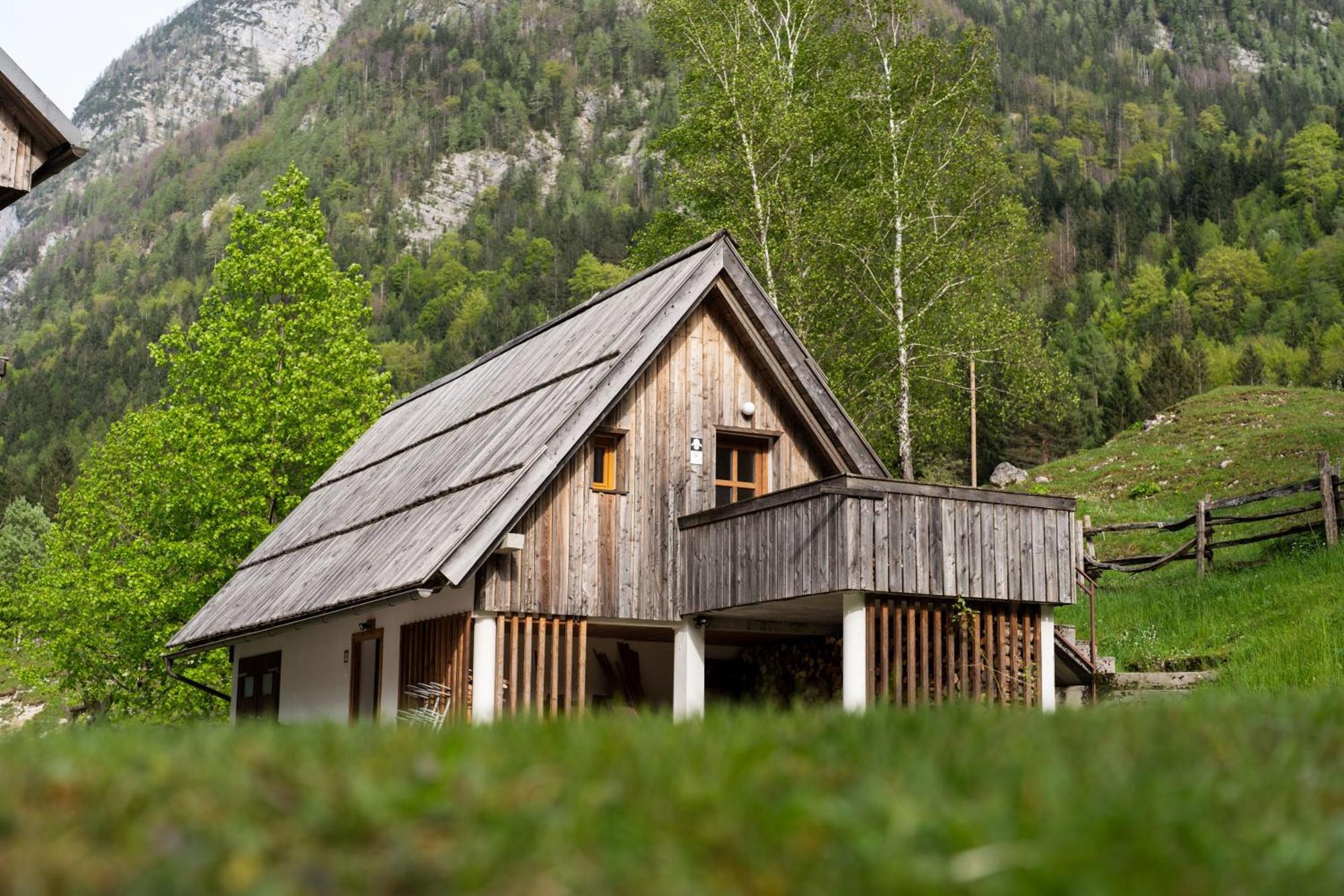 Apartament Organic Tourist Farm Pri Plajerju Trenta Zewnętrze zdjęcie